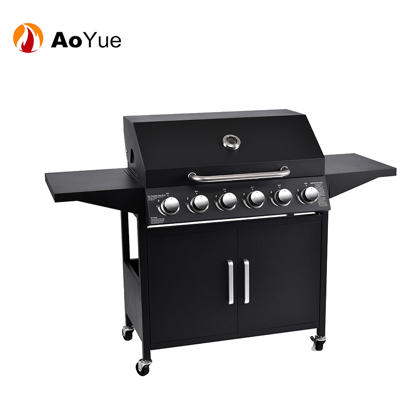 6 Burner Stainless Steel BBQ Propane Gas Grill