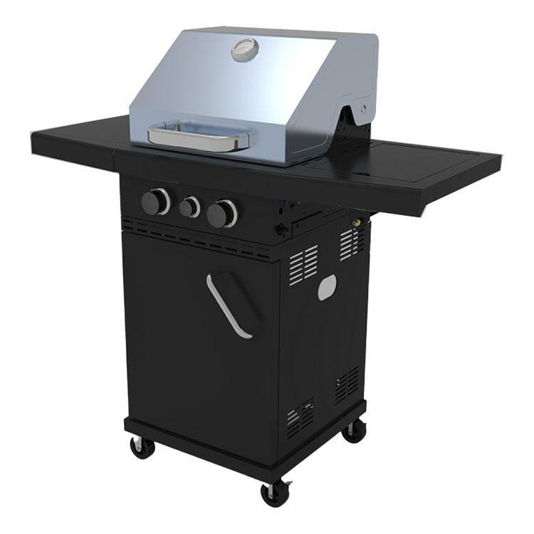 Professional Outdoor Gas Grill